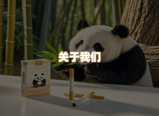 关于金鹤网
